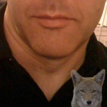 Coyote Too