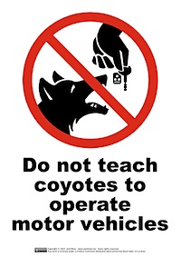 Do not teach coyotes to operate motor vehicles on Flickr - Photo Sharing!